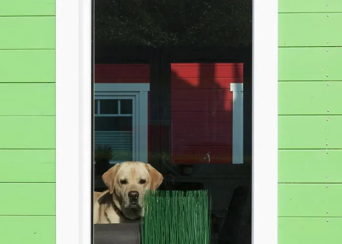 Casa de Férias 9200 Seerose 4 Süssau